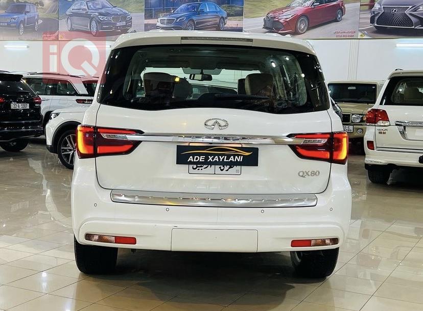 انفنتي QX80